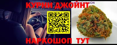 шишки Бердск