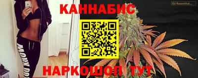 шишки Бердск