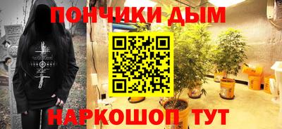 шишки Бердск