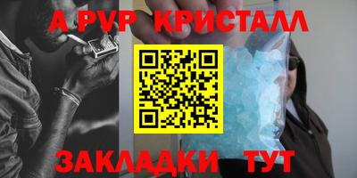шишки Бердск