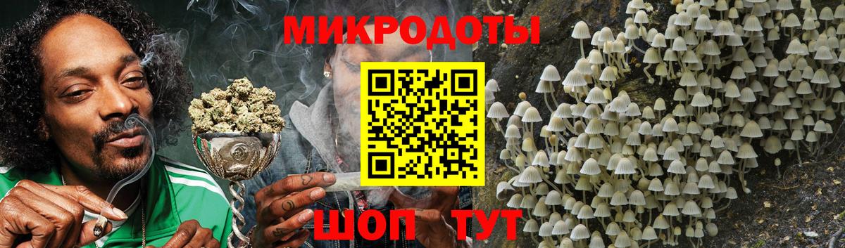 Бор  Псилоцибиновые грибы мухоморы  Вход с VPN  Галлюциногенные грибы Cubensis 